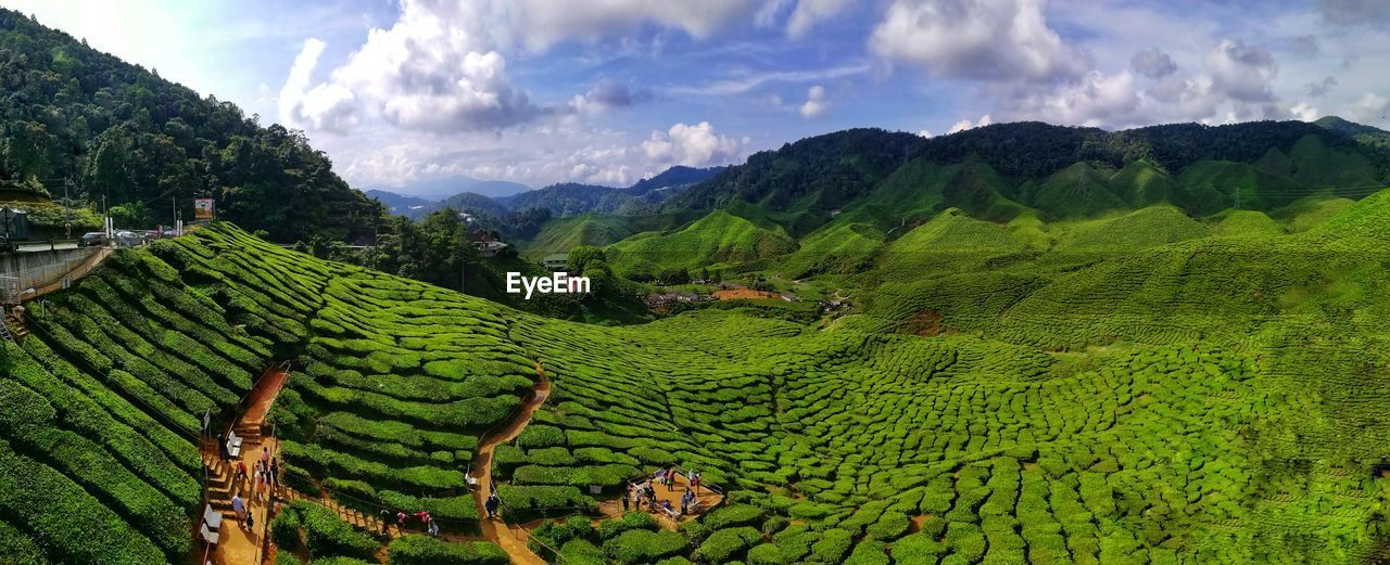 View of agriculture field against sky