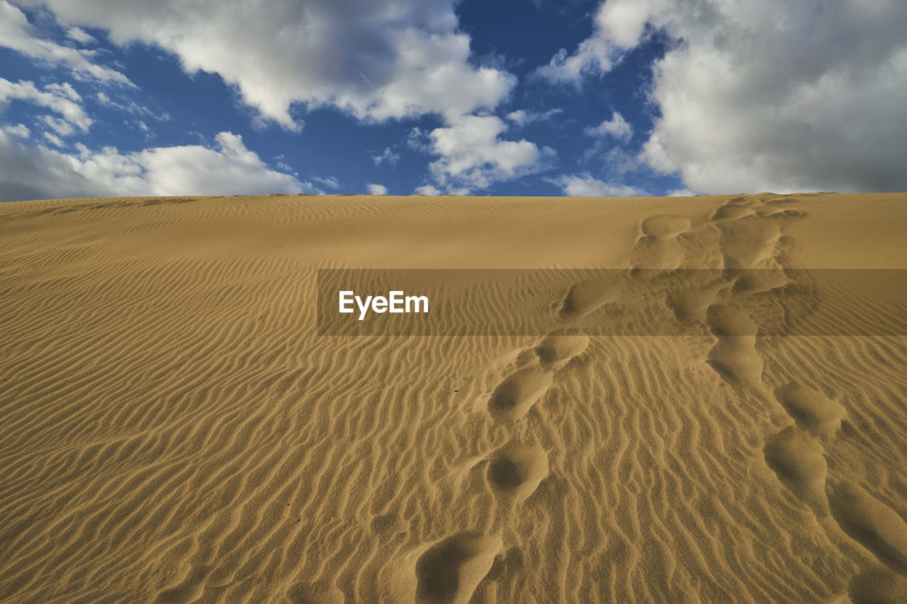 Scenic view of desert against sky