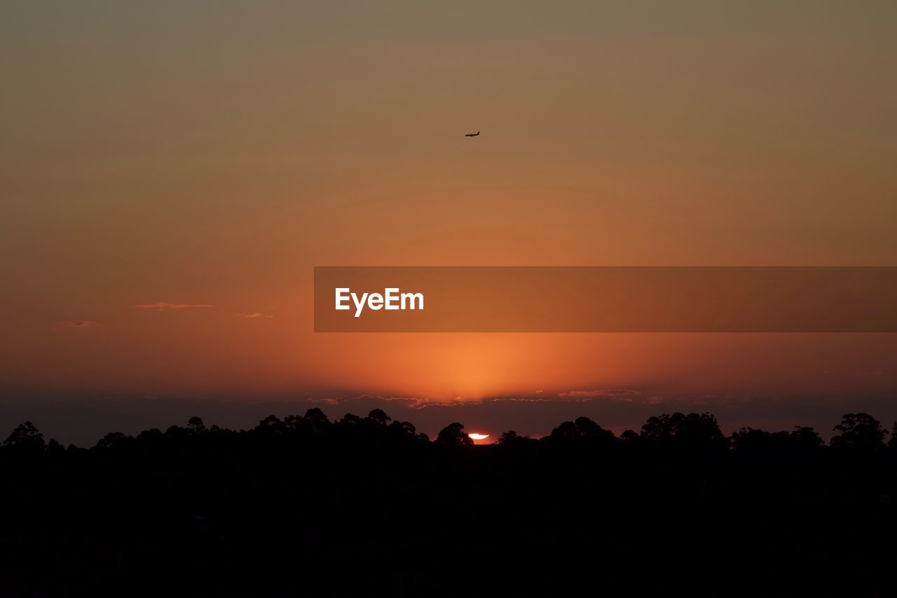 Silhouette of trees at sunset