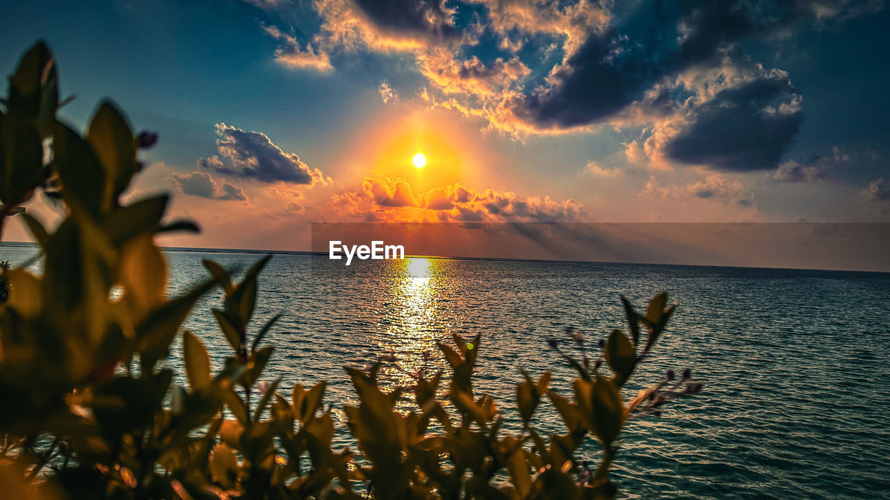 scenic view of sea at sunset