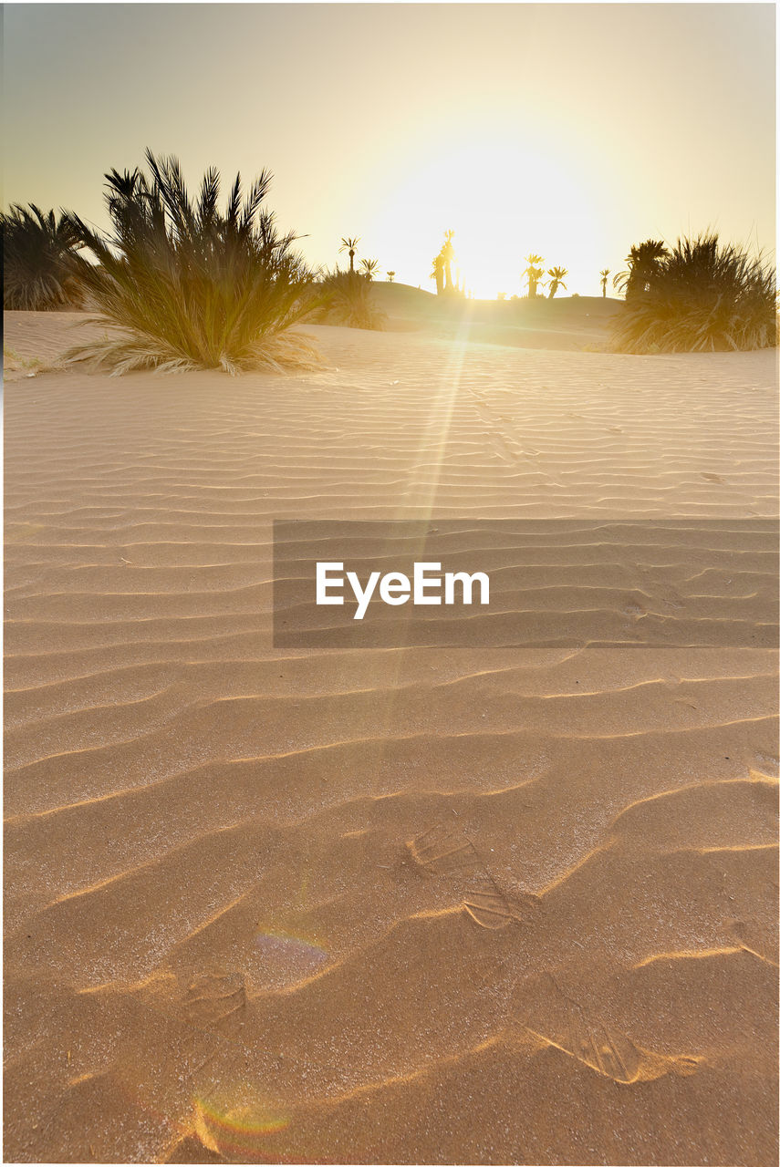 Sunset at the gates of the sahara desert in m'hamid el ghizlane, morocco.