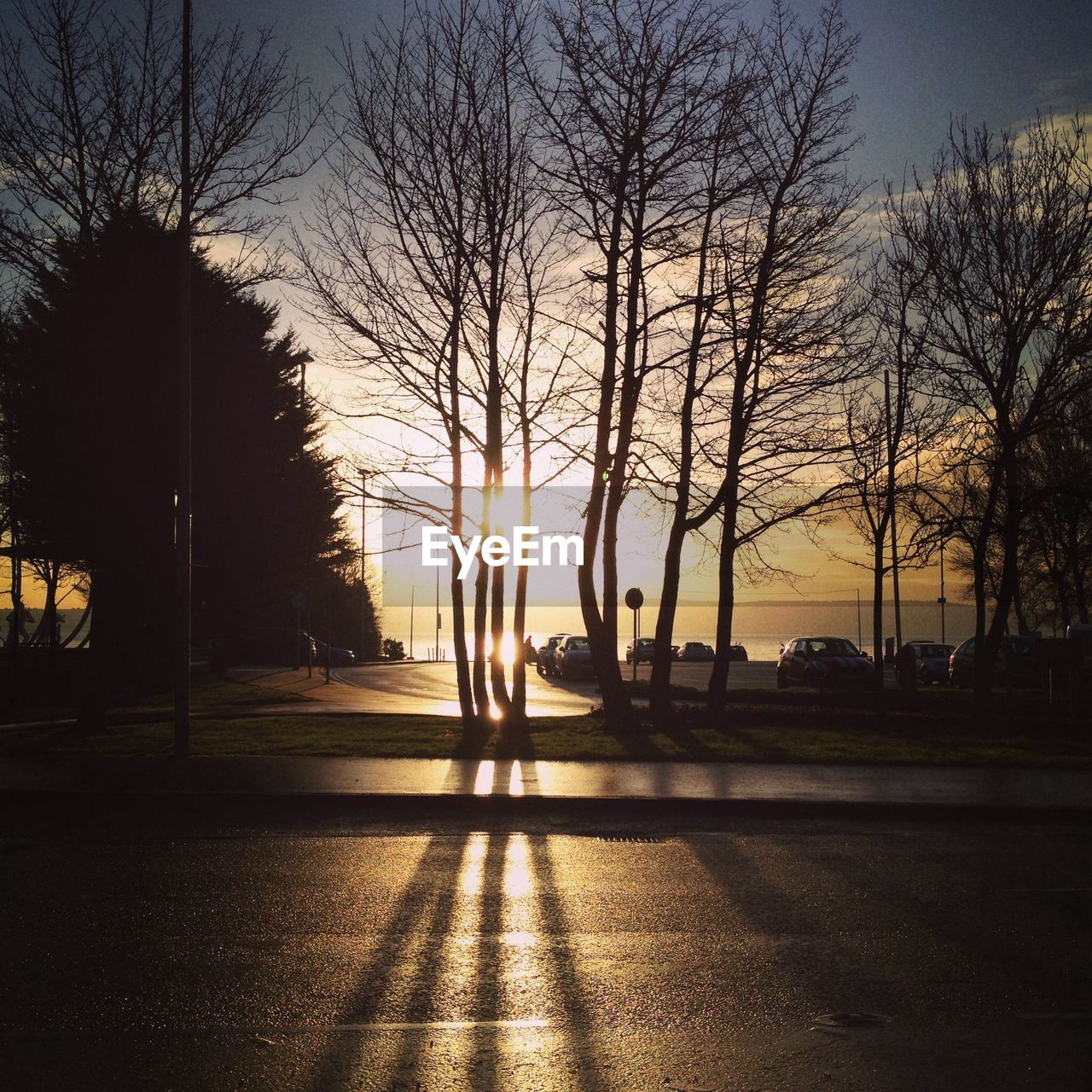 Cars in parking lot during sunrise