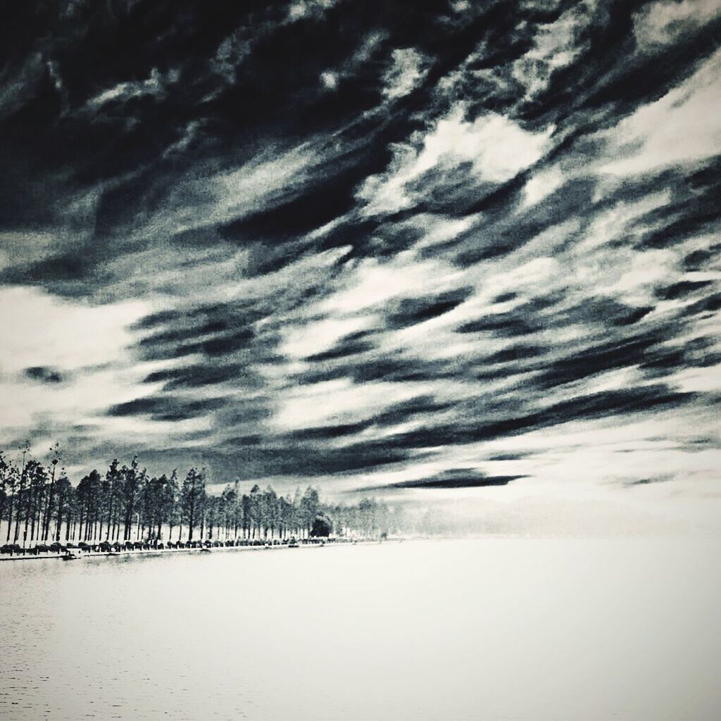 TREES ON LANDSCAPE AGAINST CLOUDY SKY