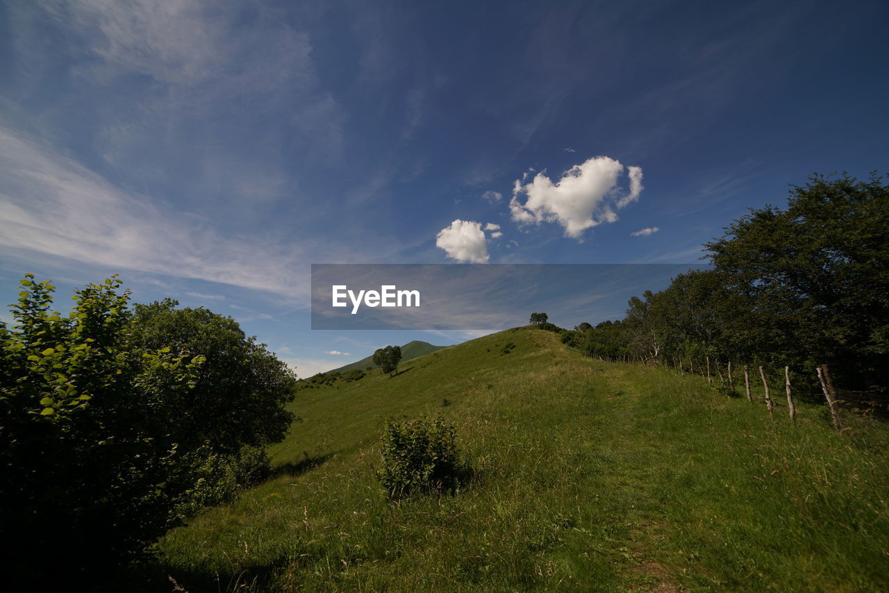 TREES ON GRASSY FIELD AGAINST CLOUDY SKY