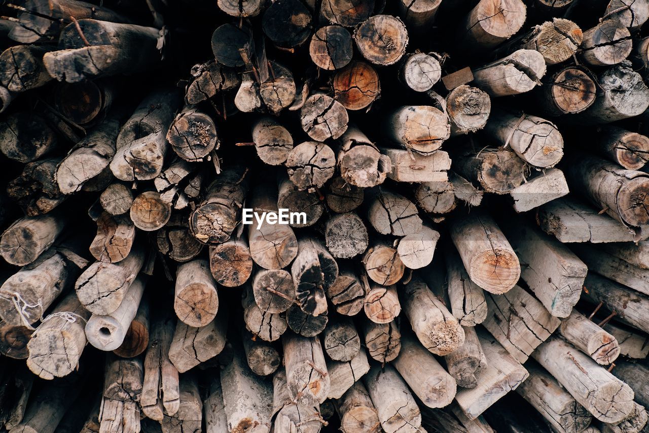 Full frame shot of logs in forest