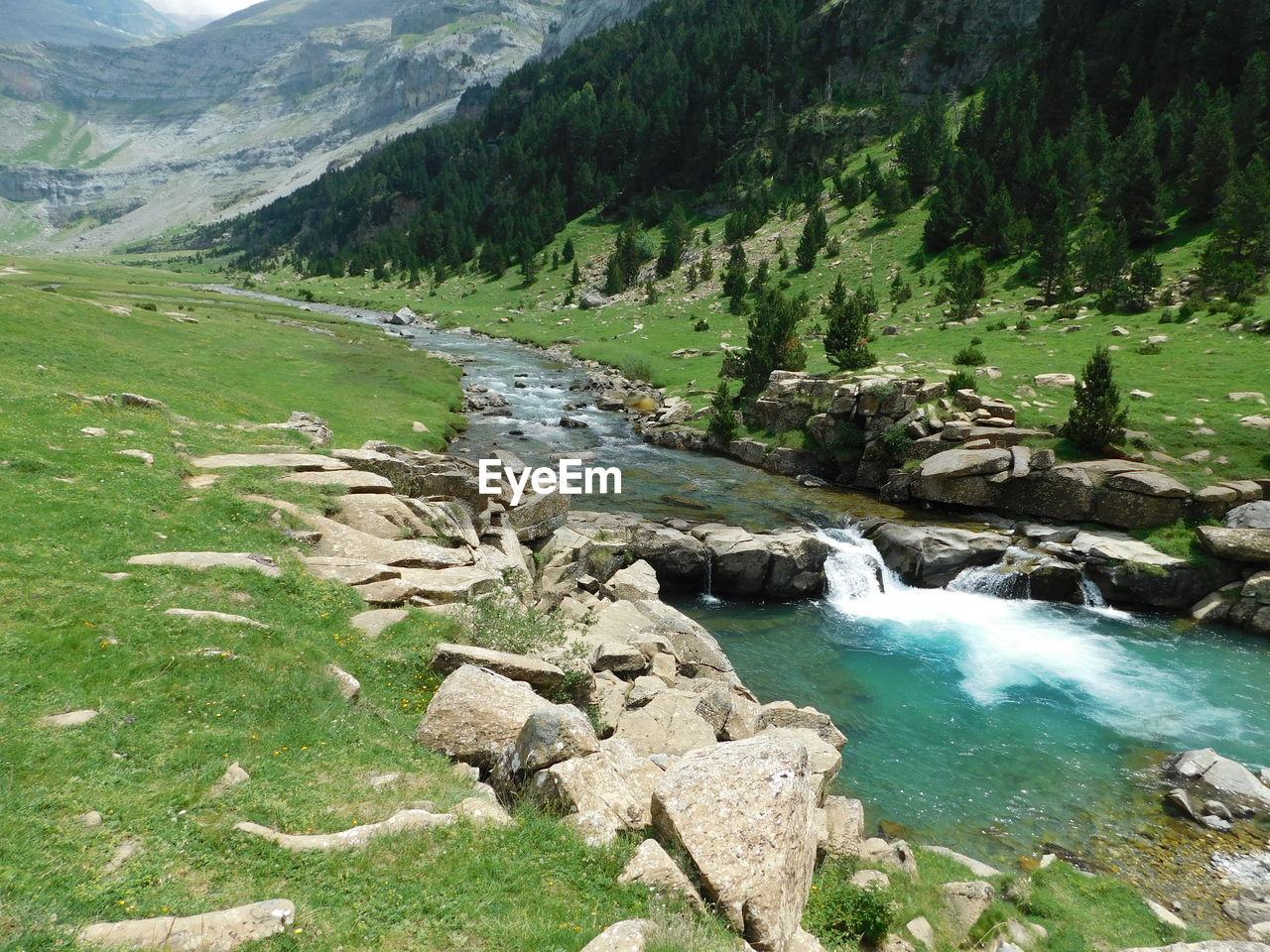 Scenic view of stream flowing through rocks