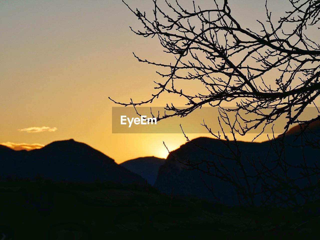 SILHOUETTE BARE TREE AGAINST SKY DURING SUNSET