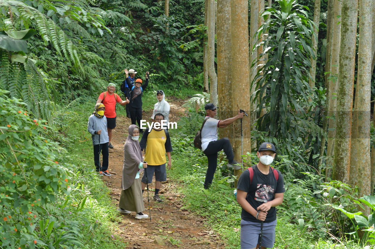 group of people, tree, plant, forest, men, land, nature, leisure activity, adventure, women, adult, growth, togetherness, jungle, full length, lifestyles, friendship, day, trail, hiking, activity, woodland, travel, child, environment, medium group of people, casual clothing, holiday, exploration, group, female, walking, childhood, trip, vacation, outdoors, natural environment, standing, green, backpacking, backpack, tourism, rainforest, beauty in nature, tourist, wilderness
