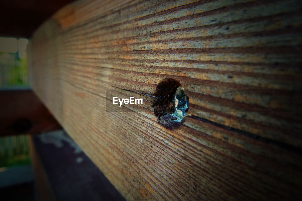 HIGH ANGLE VIEW OF BLACK INSECT ON WOOD