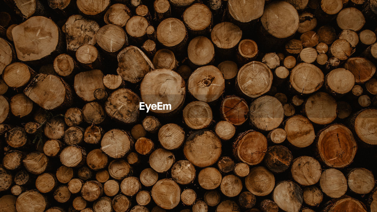 Full frame shot of logs in forest