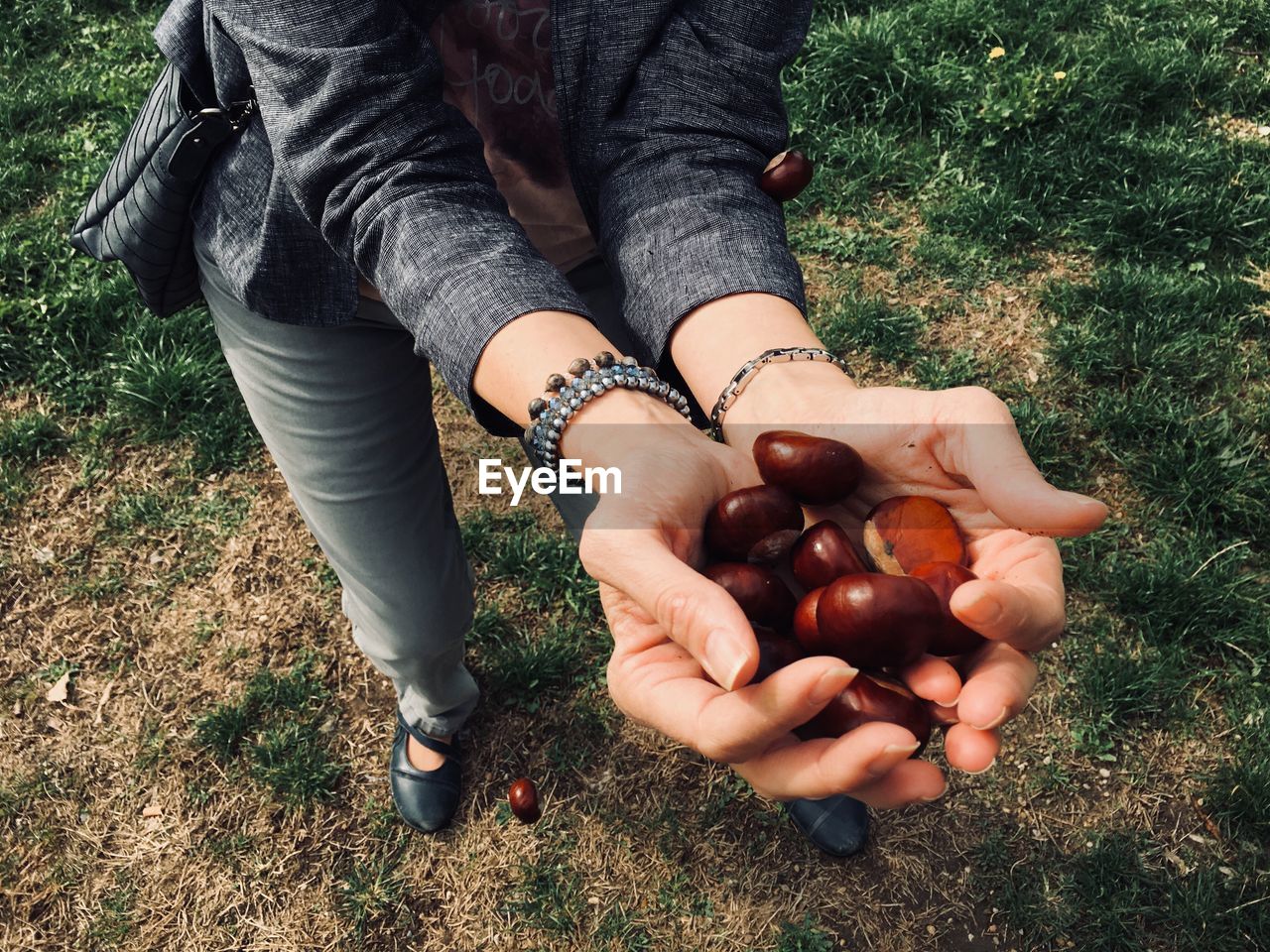 Low section of woman holding chestnuts