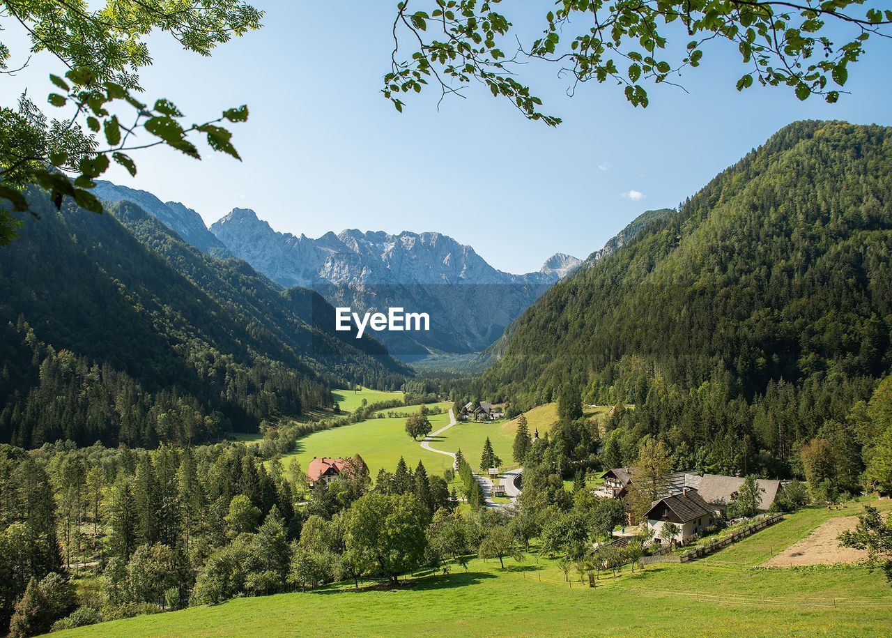 SCENIC VIEW OF TREES AND MOUNTAINS AGAINST SKY