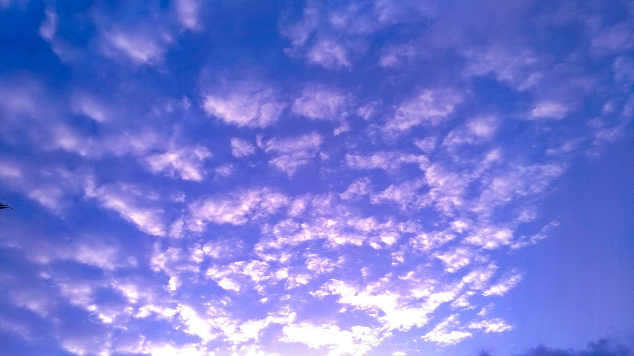 LOW ANGLE VIEW OF CLOUDY SKY DURING SUNSET