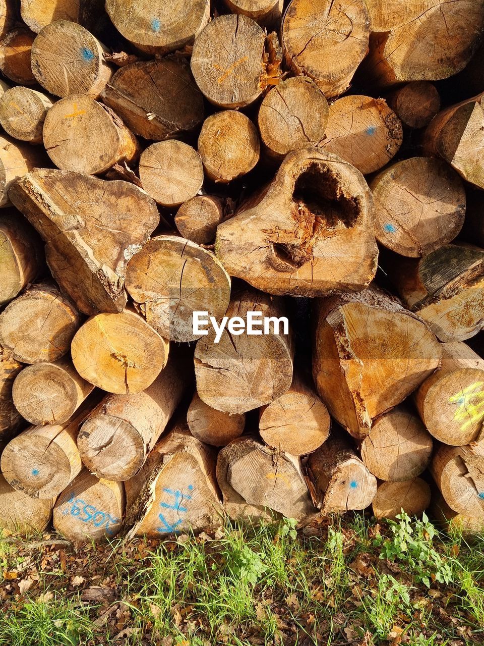 Full frame shot of logs