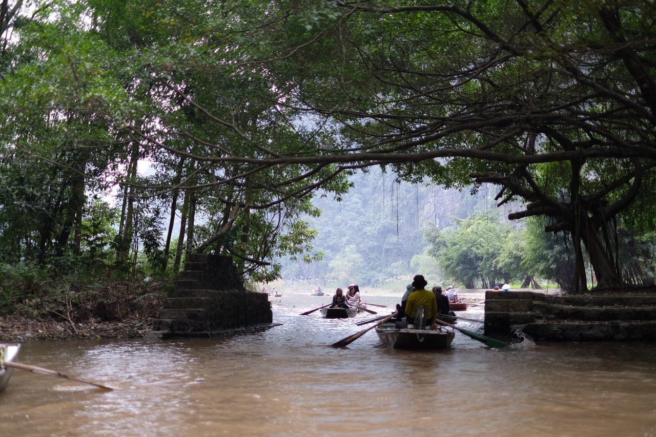 People sailing at river in forest