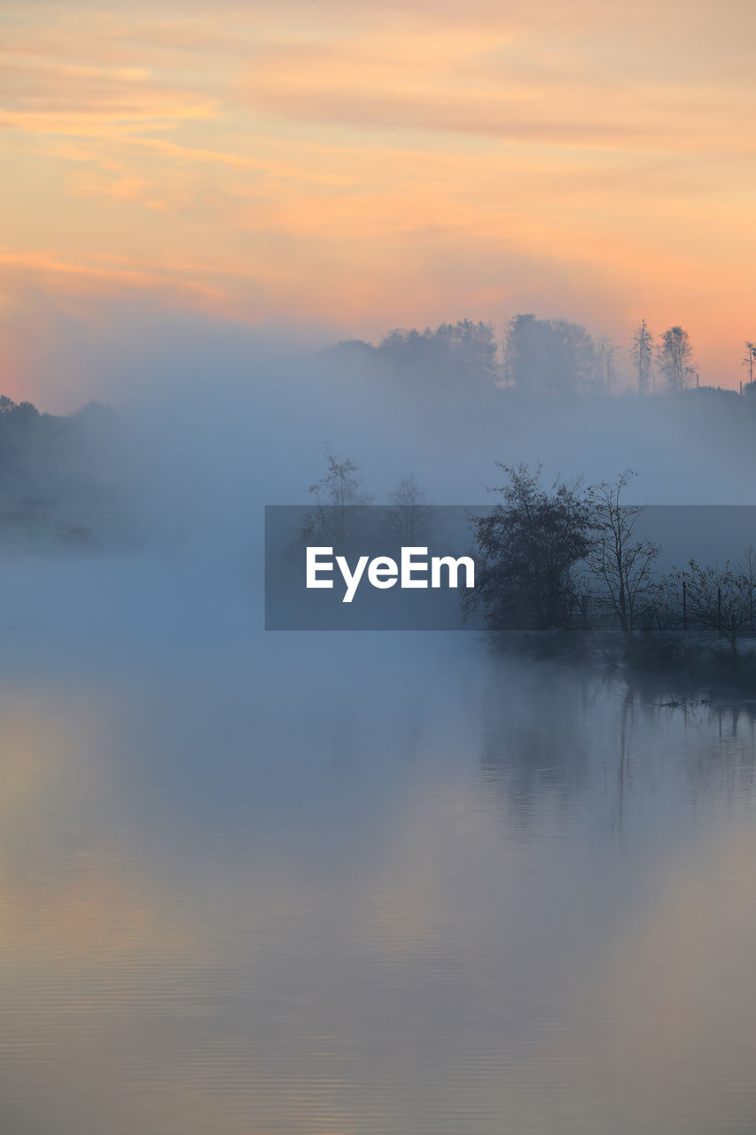 Scenic view of trees against sky during sunset