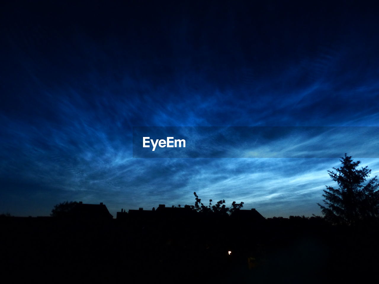 LOW ANGLE VIEW OF SILHOUETTE TREES AGAINST BLUE SKY AT NIGHT