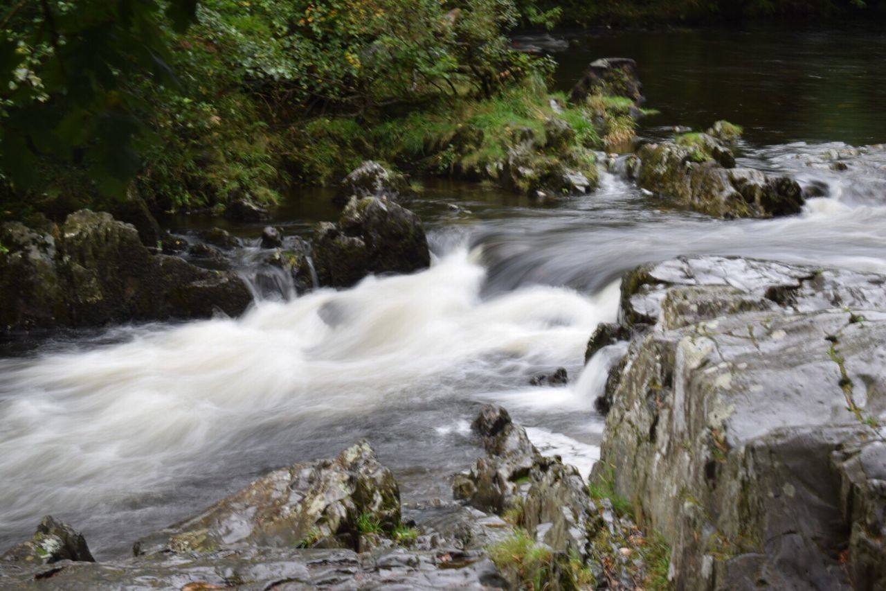 STREAM FLOWING THROUGH ROCKS IN FOREST