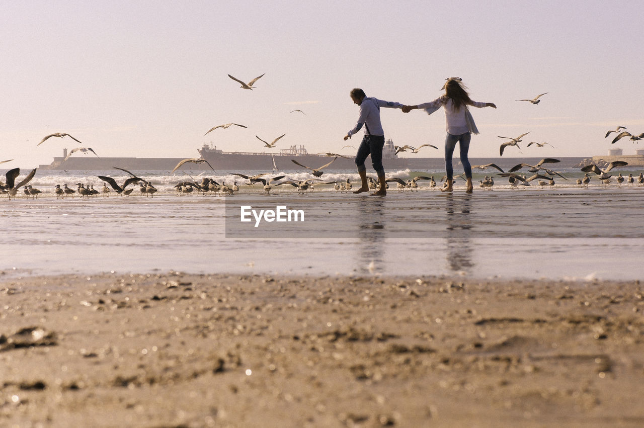 Couple holding hands by birds on shore at beach against sky