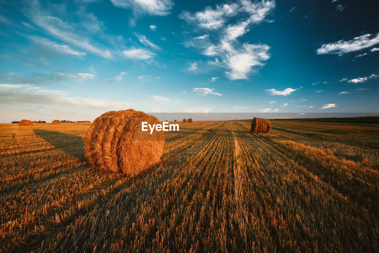 Hay bales on field against sky