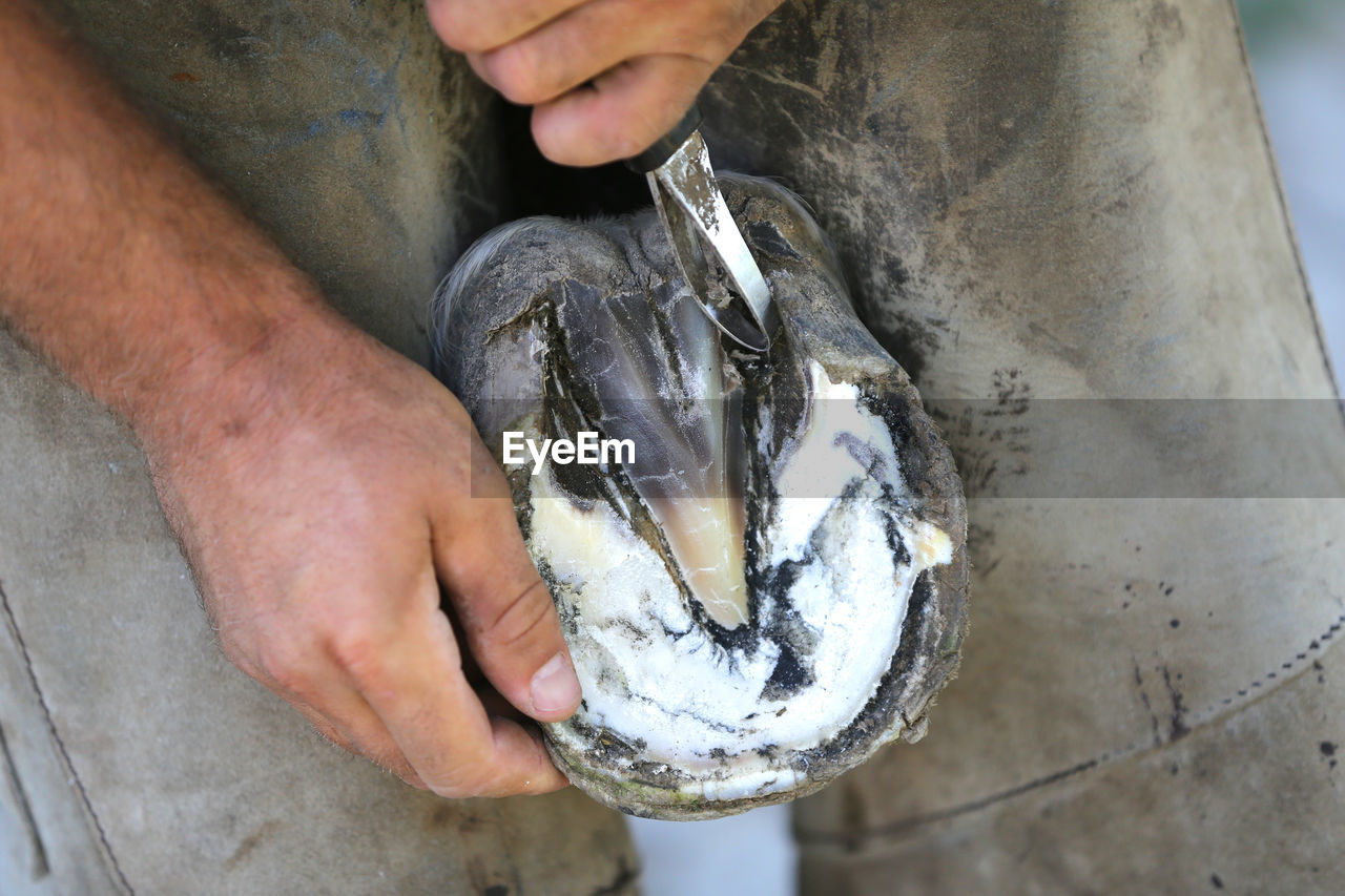 MIDSECTION OF MAN HOLDING FISH AT ICE