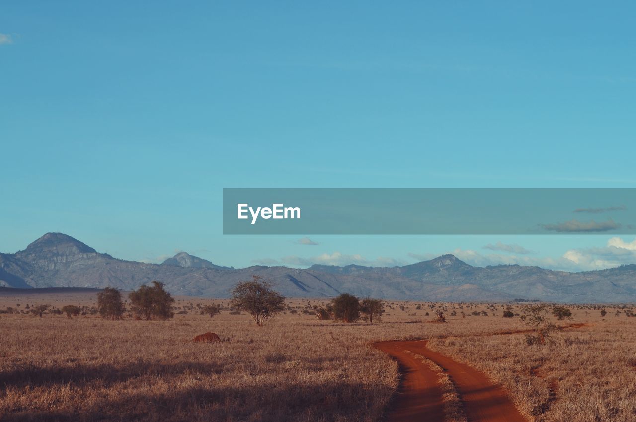 Scenic view of landscape against clear blue sky