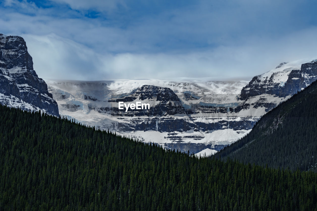 mountain, environment, scenics - nature, snow, landscape, mountain range, nature, sky, beauty in nature, cold temperature, winter, cloud, land, snowcapped mountain, plant, wilderness, ridge, travel destinations, travel, no people, forest, plateau, mountain pass, tranquility, grass, coniferous tree, tranquil scene, outdoors, pinaceae, tourism, mountain peak, pine tree, tree, pine woodland, non-urban scene, glacier, day, social issues, activity, ice