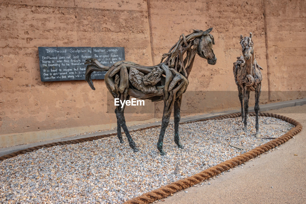 HORSE STANDING BY WALL