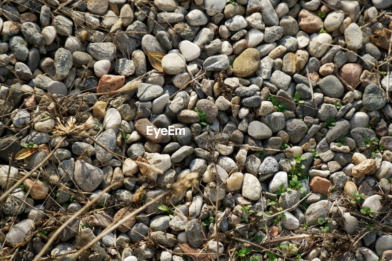 CLOSE-UP OF PEBBLES