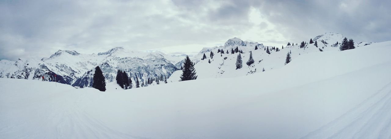 Panoramic shot of snow covered landscape