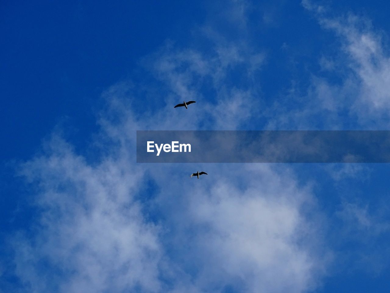 LOW ANGLE VIEW OF AIRPLANE WING AGAINST SKY