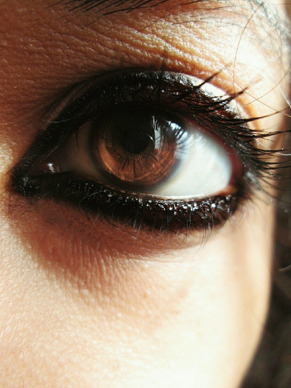 Close-up portrait of woman eye with make up