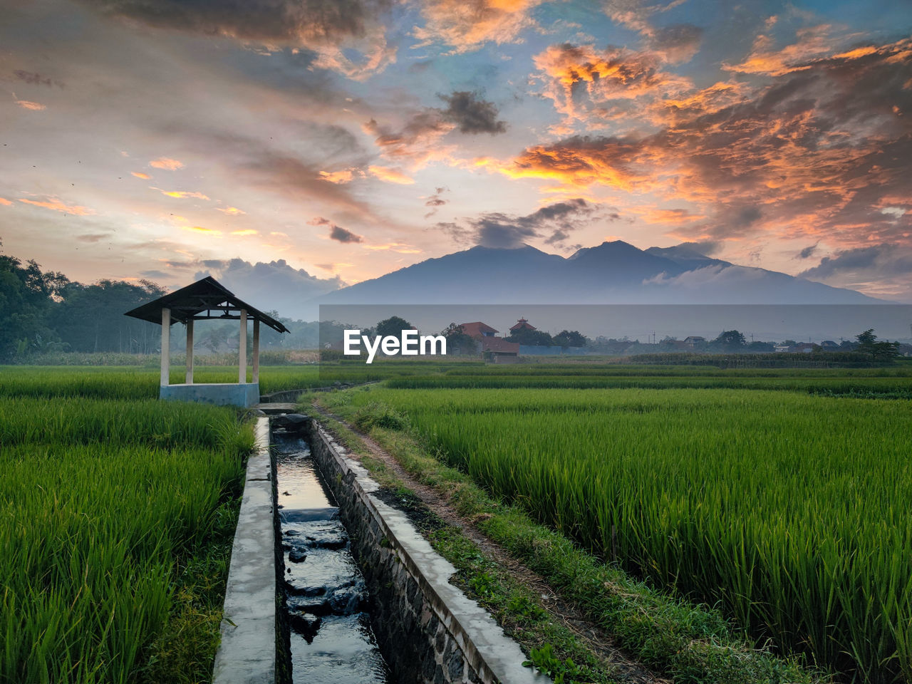 landscape, environment, sky, field, rural scene, land, nature, agriculture, morning, plant, scenics - nature, cloud, rural area, crop, beauty in nature, horizon, farm, mountain, rice paddy, rice, grass, paddy field, architecture, sun, no people, sunlight, tranquility, social issues, sunrise, environmental conservation, outdoors, food and drink, plain, travel, green, food, twilight, tree, cereal plant, meadow, growth, water, dawn, transportation, building, tranquil scene, rice - food staple, summer, mountain range, travel destinations, road, built structure, occupation, dramatic sky, non-urban scene, freshness