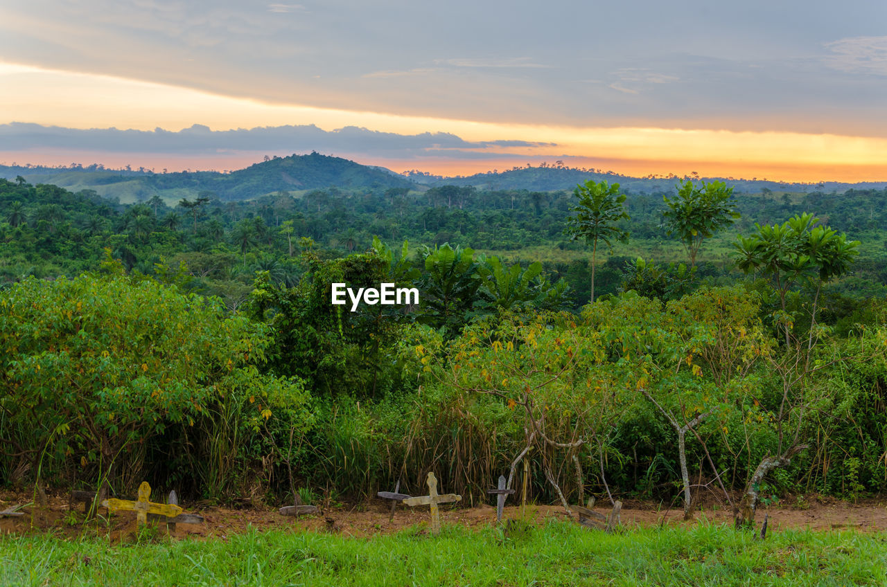 Trees on landscape against sky at sunset