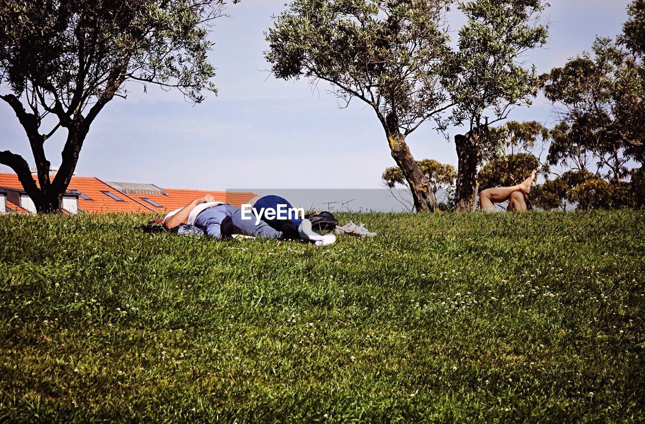 Friends resting on grassy field by trees at yard