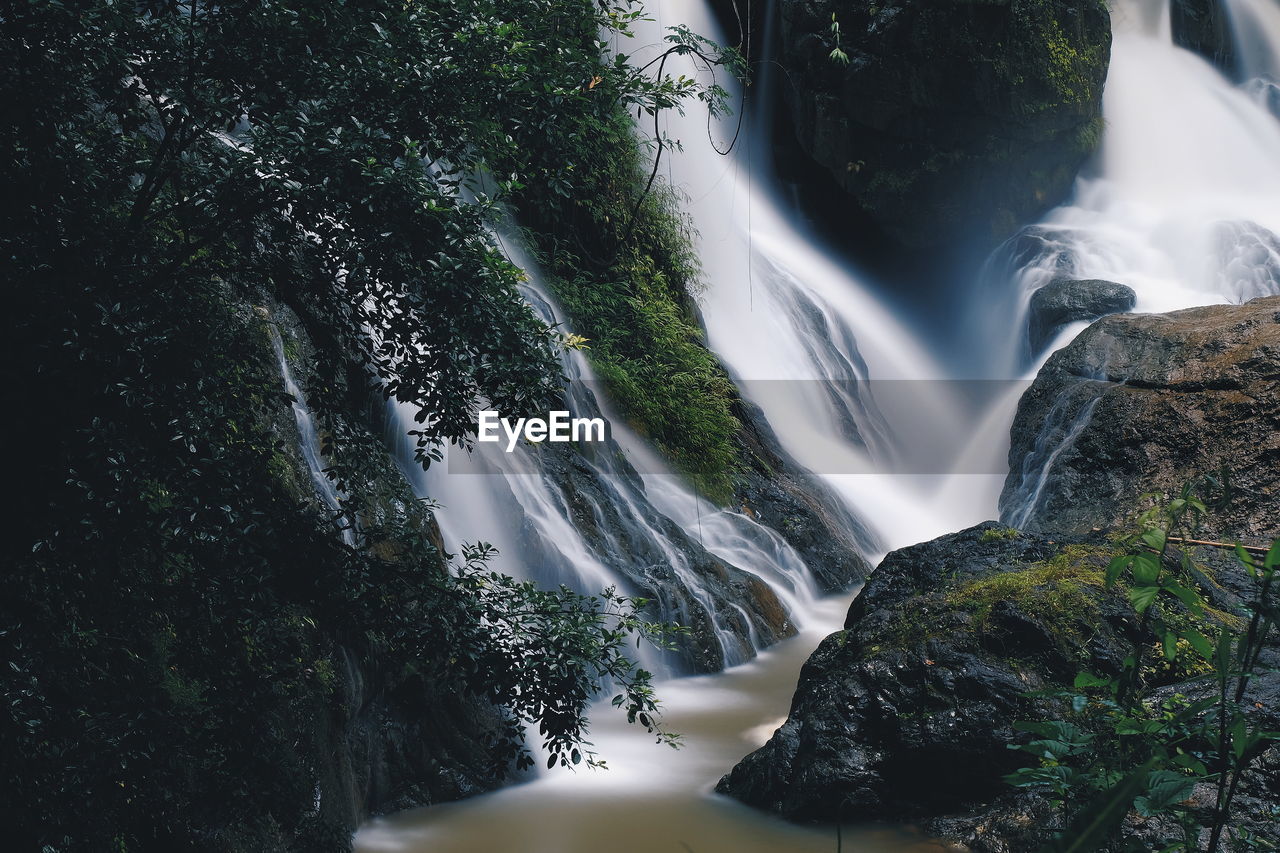 Low angle view of waterfall in forest