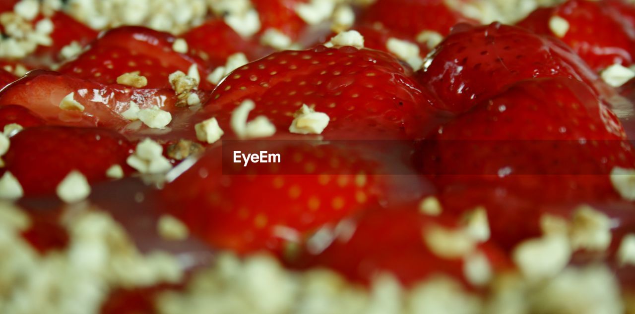 FULL FRAME SHOT OF BERRIES