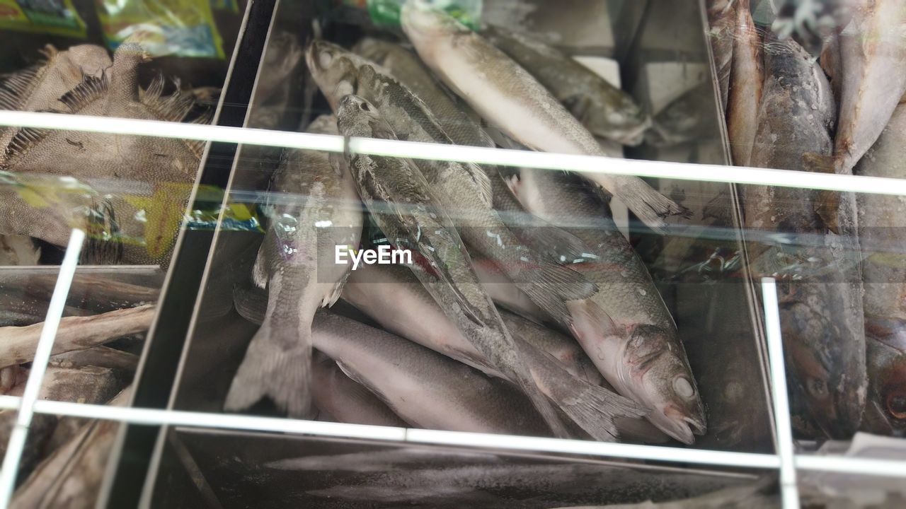 CLOSE-UP OF FISH FOR SALE