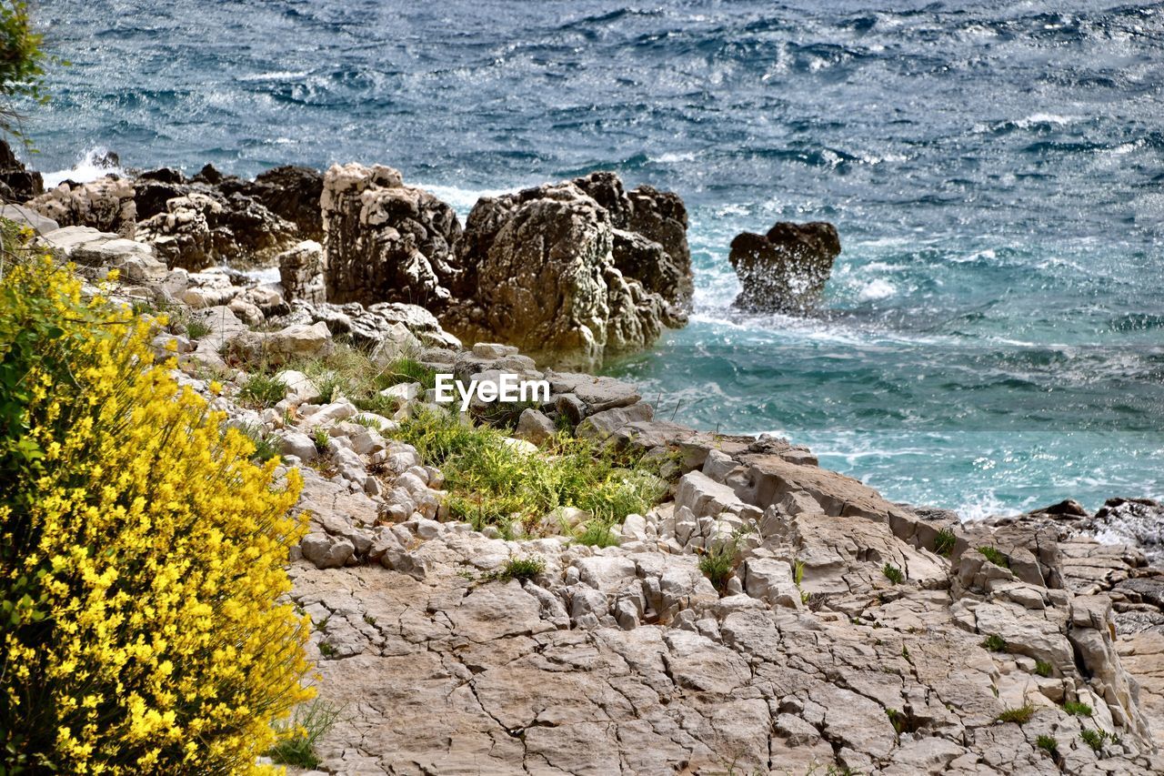 water, sea, rock, beauty in nature, coast, shore, nature, land, flower, beach, no people, scenics - nature, ocean, day, plant, rock formation, motion, wave, tranquility, outdoors, cliff, high angle view, body of water, tranquil scene, terrain, sunlight, landscape