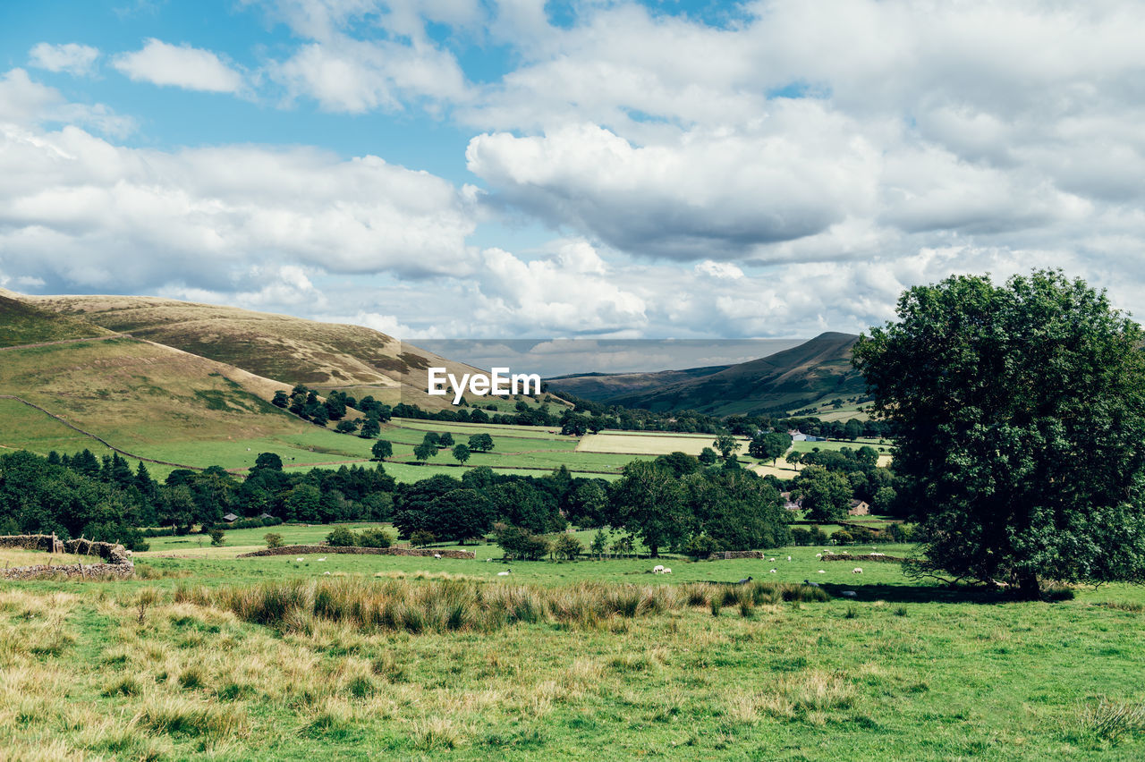 SCENIC VIEW OF FARM AGAINST SKY