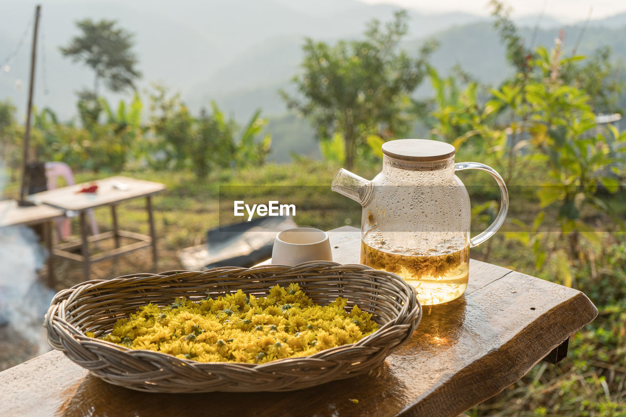 A cup of herbal tea from chrysanthemums and goji berries, a remarkable healing drink. 