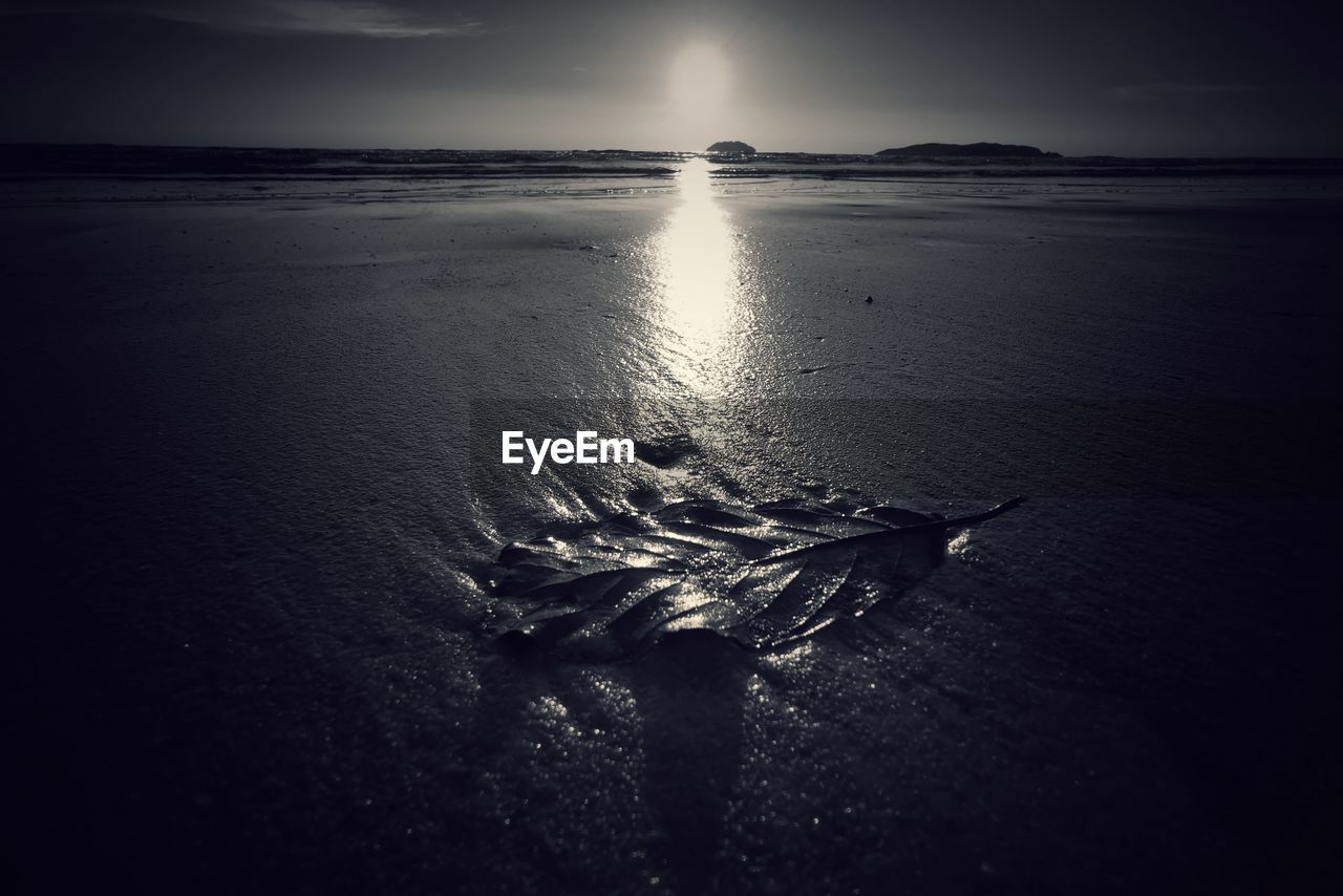 SCENIC VIEW OF BEACH DURING SUNSET