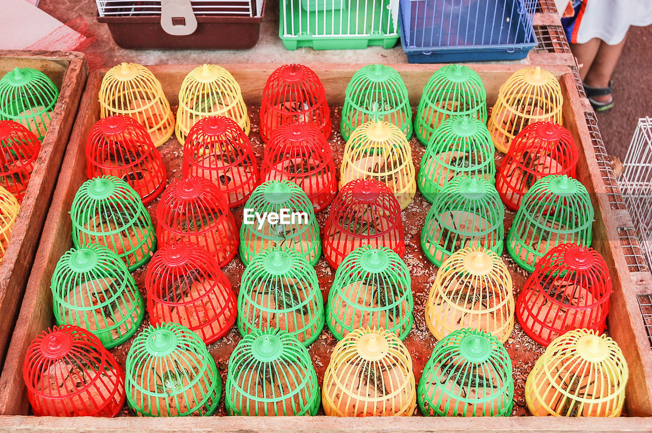 High angle view of cricket insects in cage at market stall