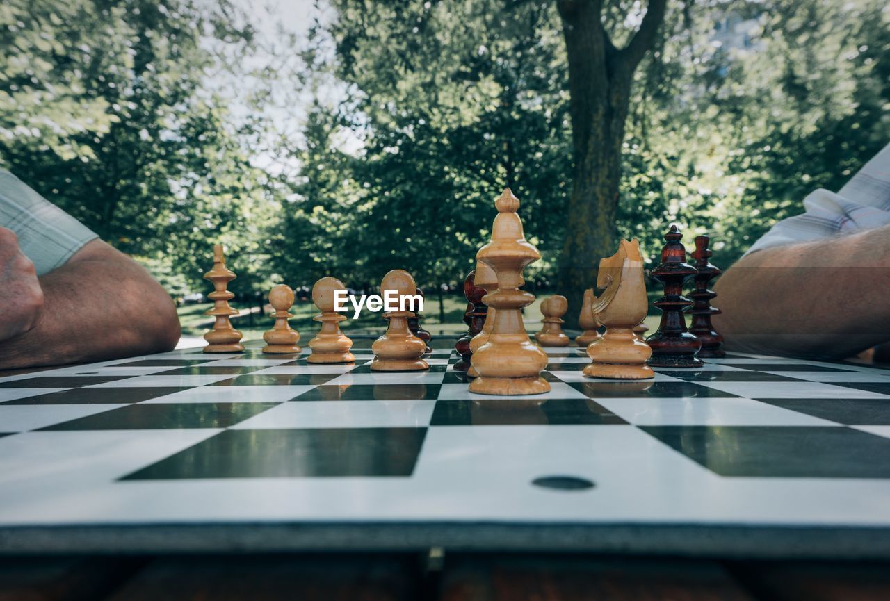 Cropped image of friends playing chess