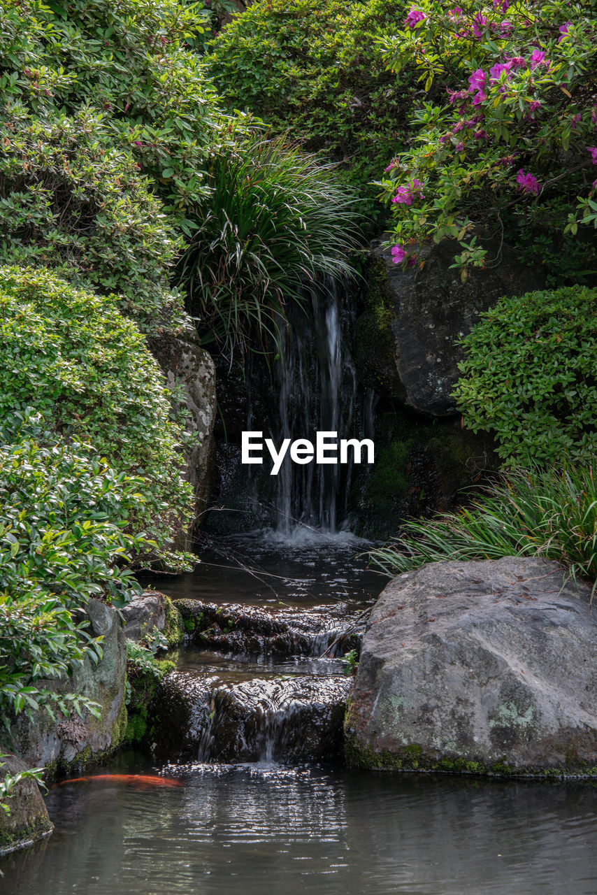 Scenic view of waterfall in forest