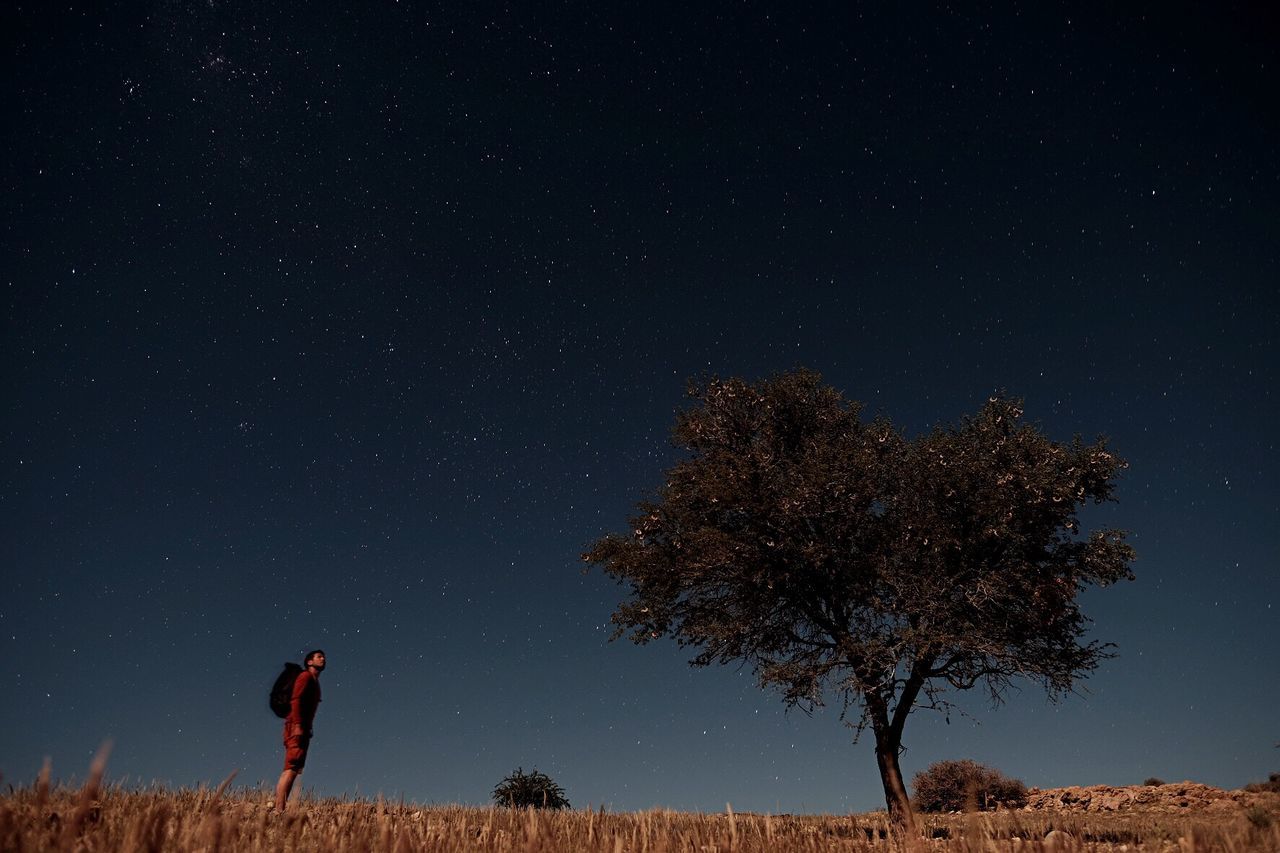 Man standing by tree against star field