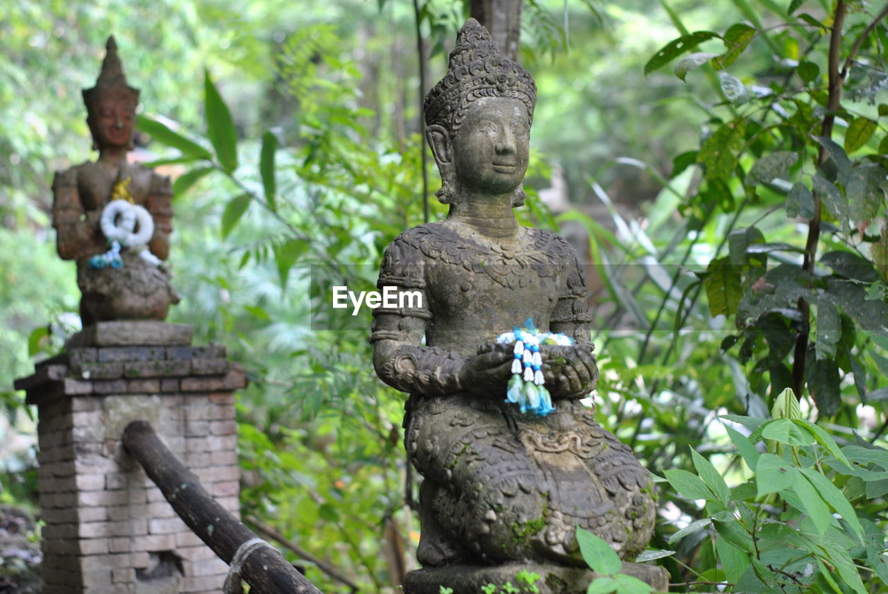 Buddha statue amidst plants