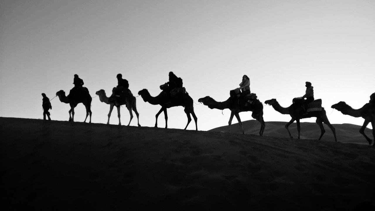 Silhouette people riding on camels at desert against sky