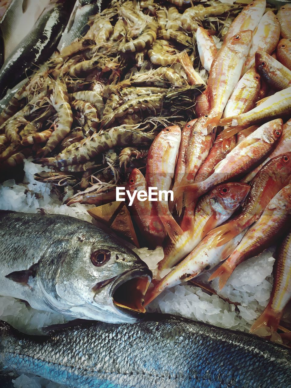 CLOSE-UP OF FISH FOR SALE AT MARKET