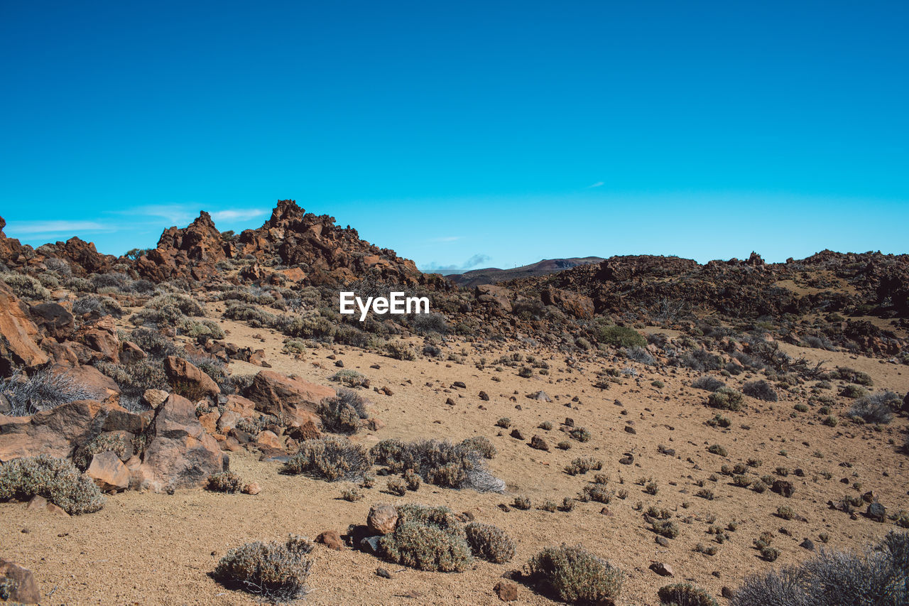 Scenic view of landscape against clear blue sky